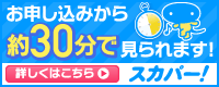 時代劇専門チャンネル見るならスカパー！　スカパー！キャンペーンバナー