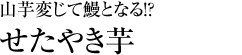 山芋変じて鰻となる！？「せたやき芋」