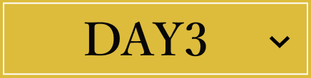 DAY3