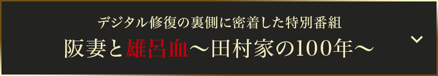 デジタル修復の裏側に密着した特別番組 阪妻と雄呂血～田村家の100年～