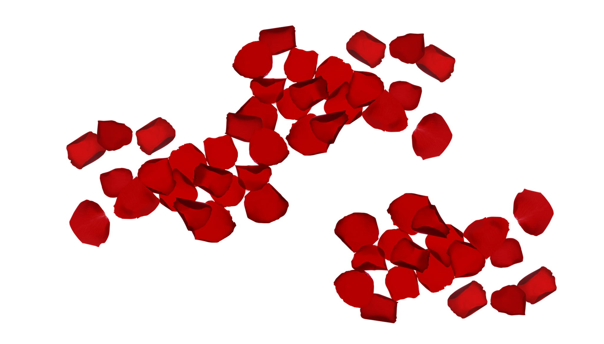 花びら03